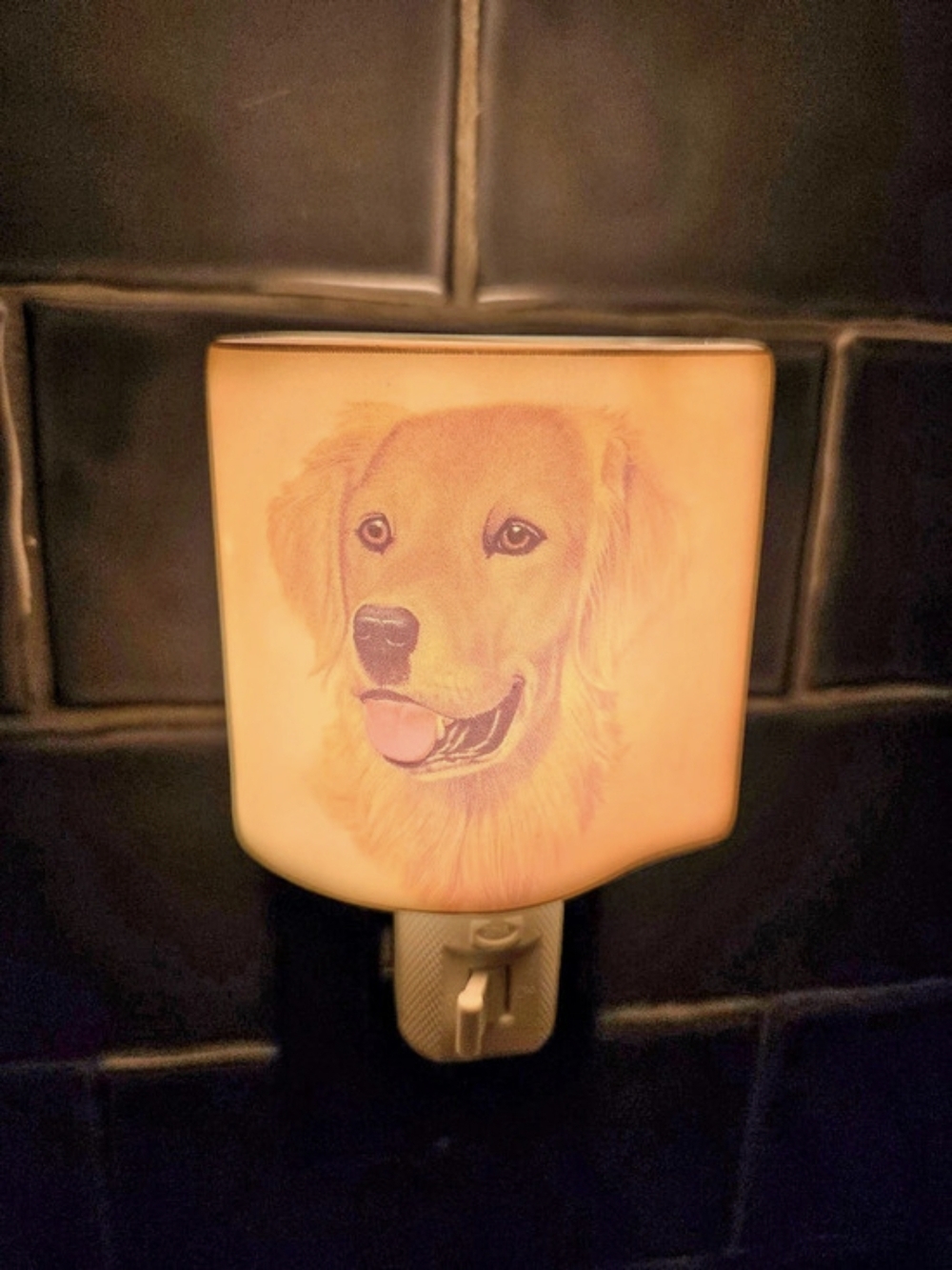 Golden Retriever Dog Night-Light
